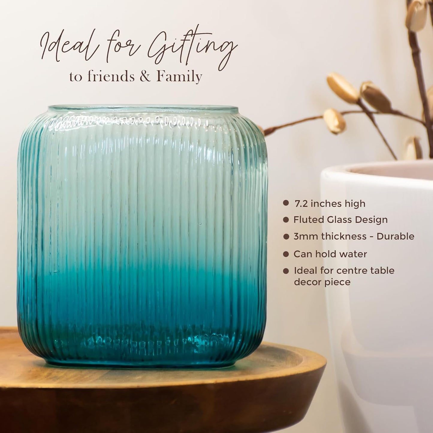 Glass flower pot for home decor